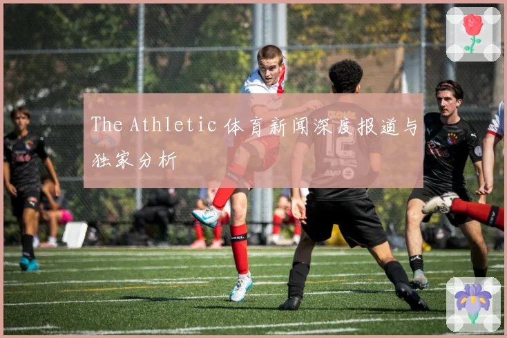The Athletic 体育新闻深度报道与独家分析