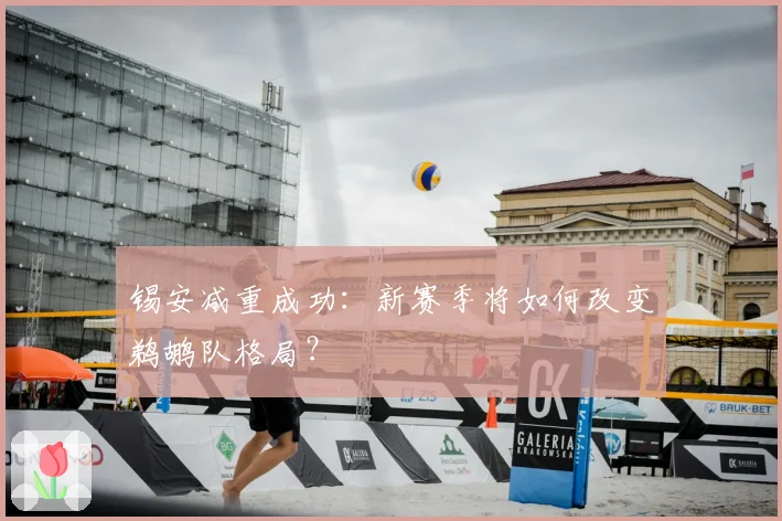 锡安减重成功:新赛季将如何改变鹈鹕队格局?