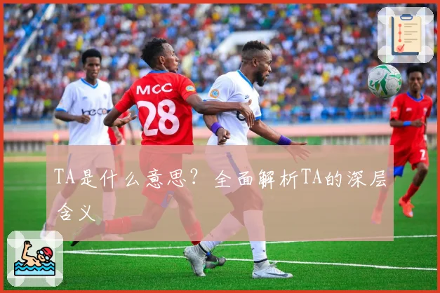 TA是什么意思？全面解析TA的深层含义