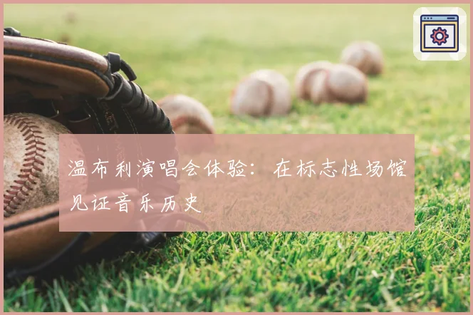 温布利演唱会体验:在标志性场馆见证音乐历史